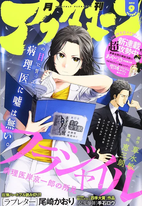 Copertina di Afternoon 2016 9
