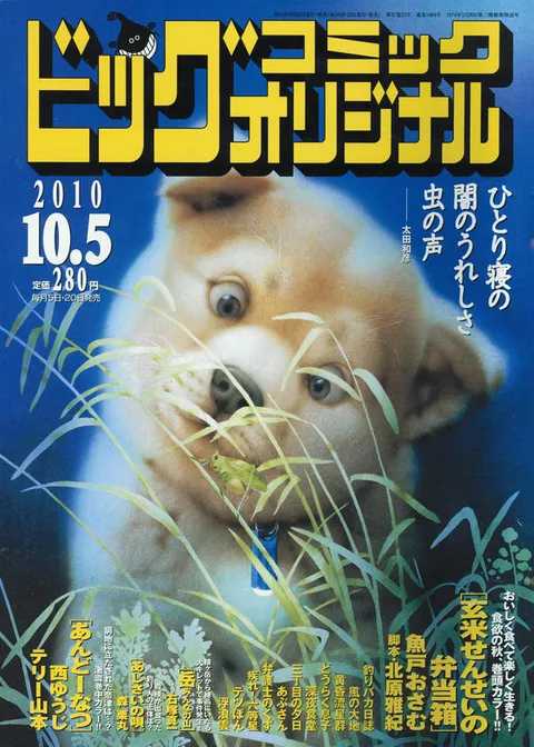 Cover of Big Comic Original 2010 19