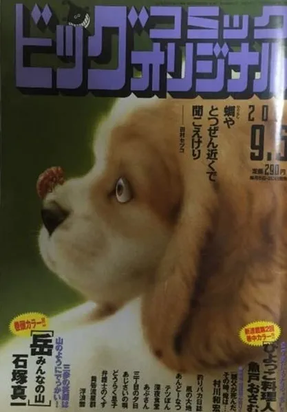 Cover of Big Comic Original 2011 17