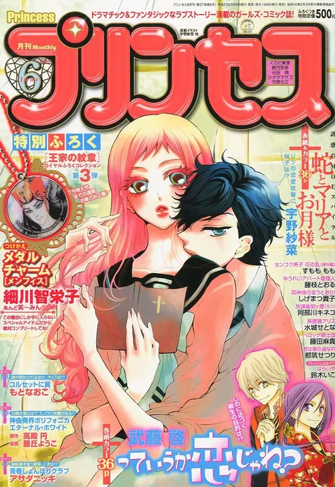 Cover von Princess 2011 6