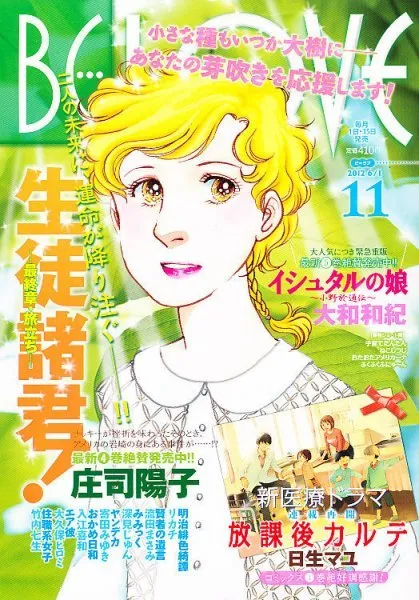 Cover of BE LOVE 2012 11