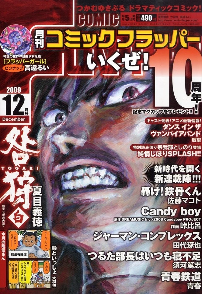 Cover of Comic Flapper 2009 12
