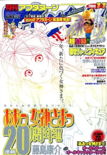 Copertina di Afternoon 2008 11