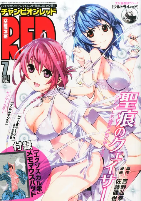 Cover of Champion RED 2013 7