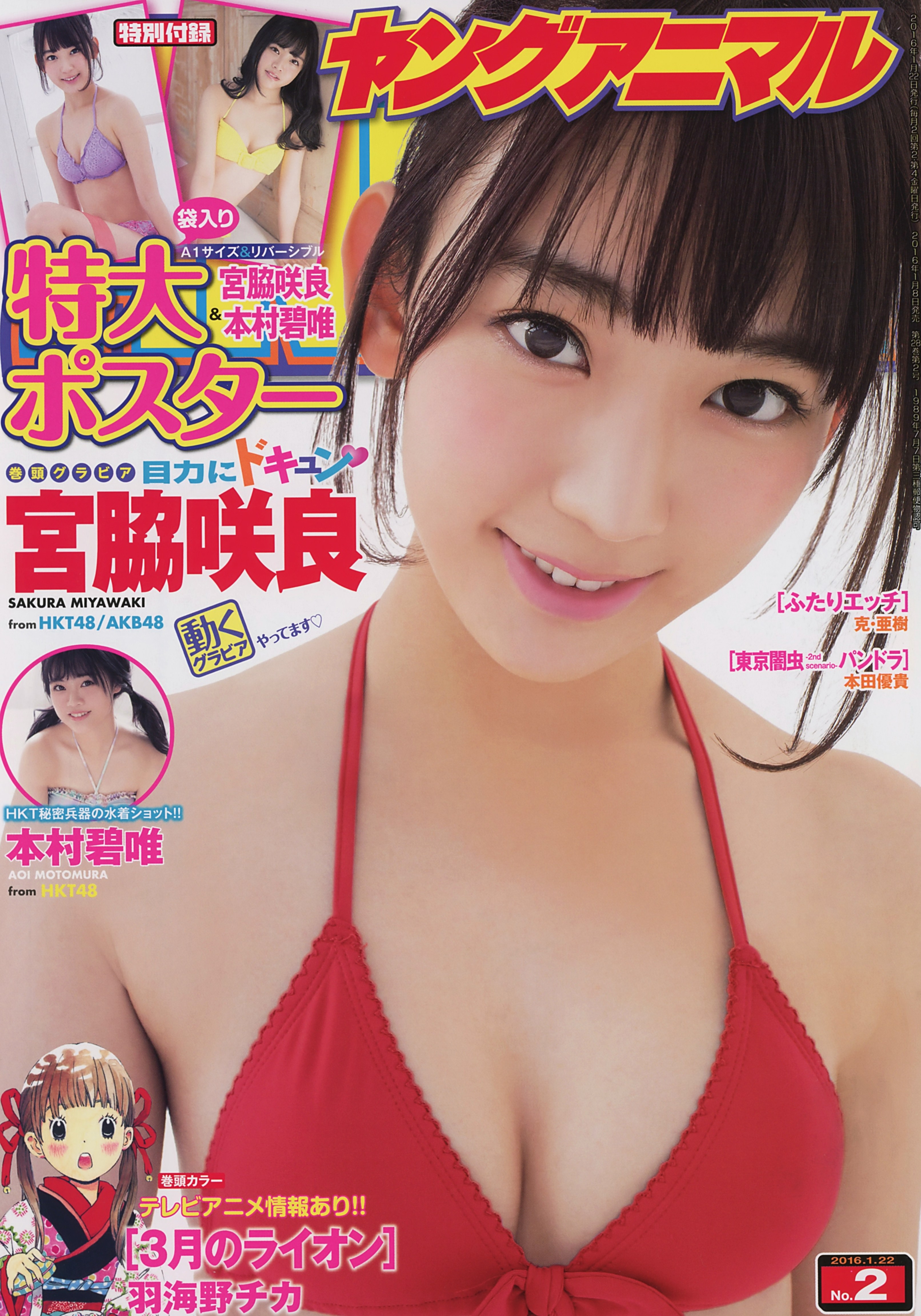 Cover of Young Animal 2016 2