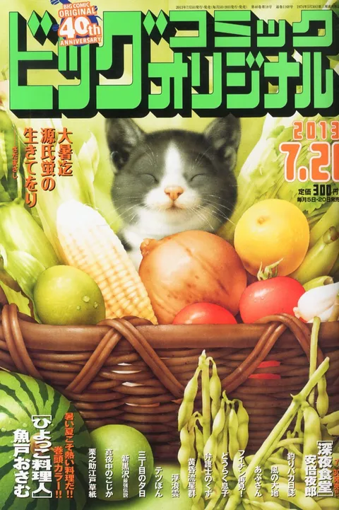 Cover of Big Comic Original 2013 14