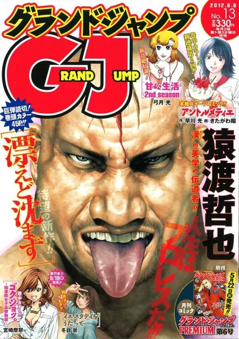 Couverture de Grand Jump 2012 13