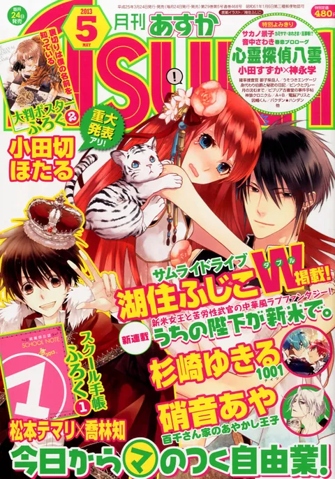 Copertina di Asuka 2013 5