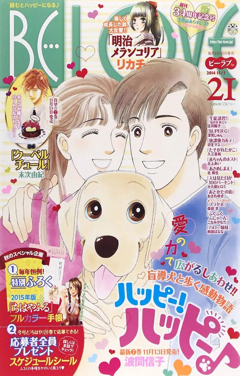 Couverture de BE LOVE 2014 21
