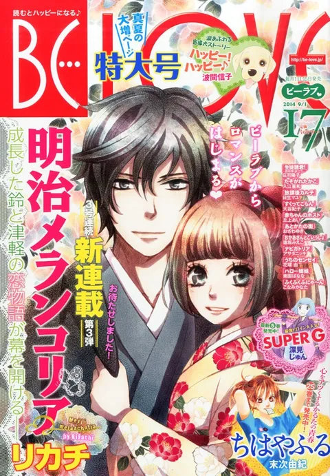 Couverture de BE LOVE 2014 17