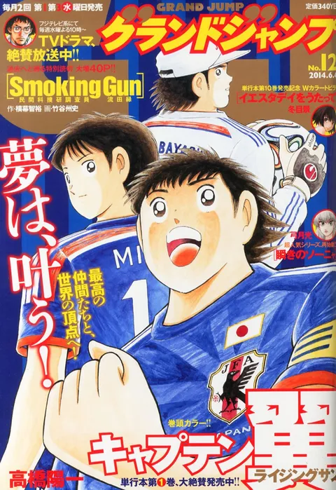 Couverture de Grand Jump 2014 12