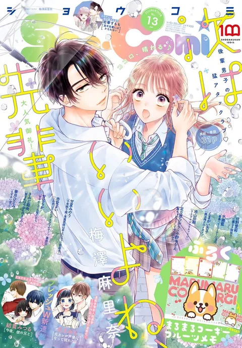 Couverture de Sho-Comi 2022 13