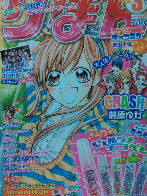 Cover von Ribon 2008 3