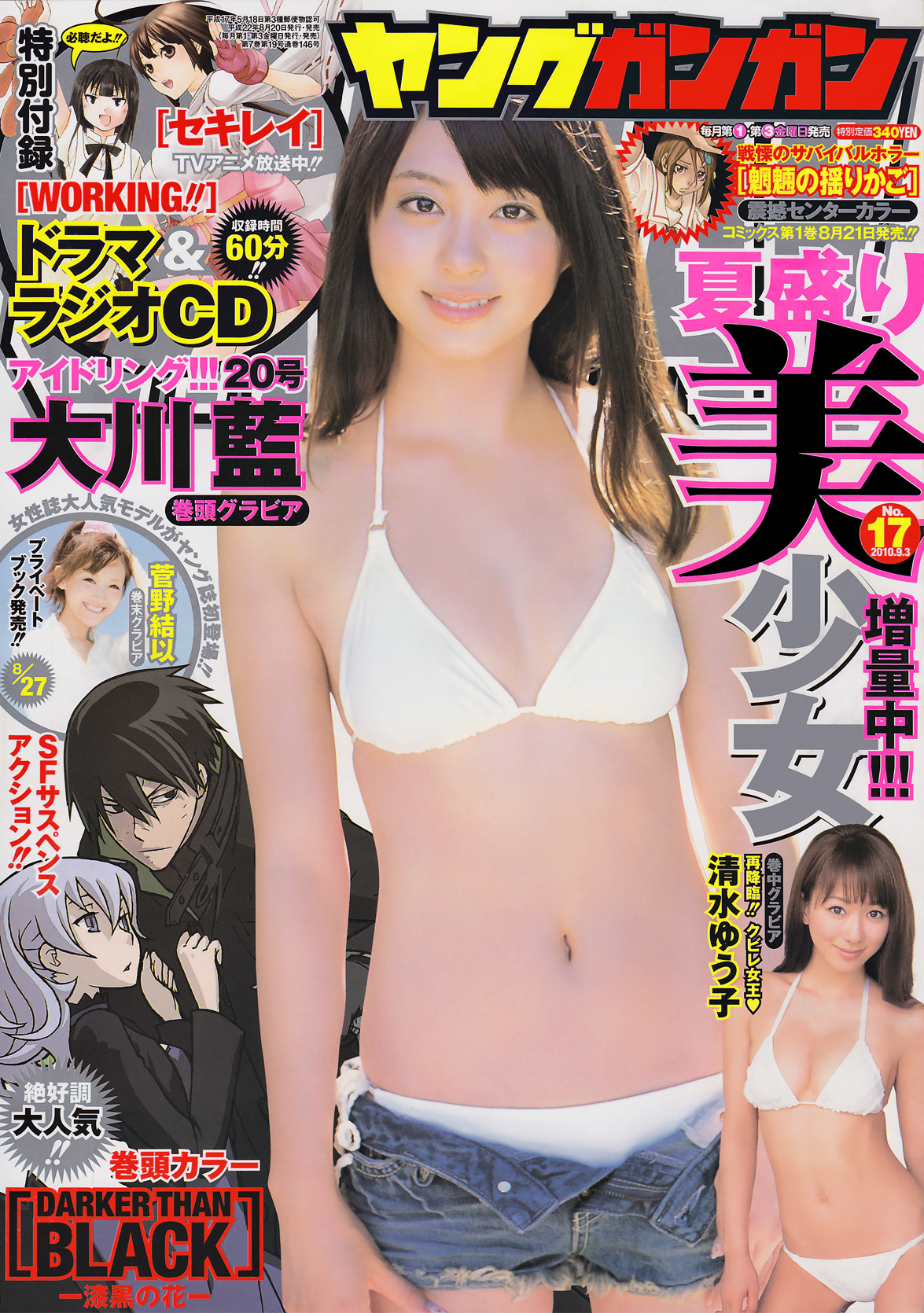 Cover of Young Gangan 2010 17