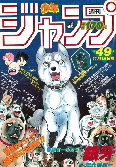 Cover von Weekly Shōnen Jump 1984 49
