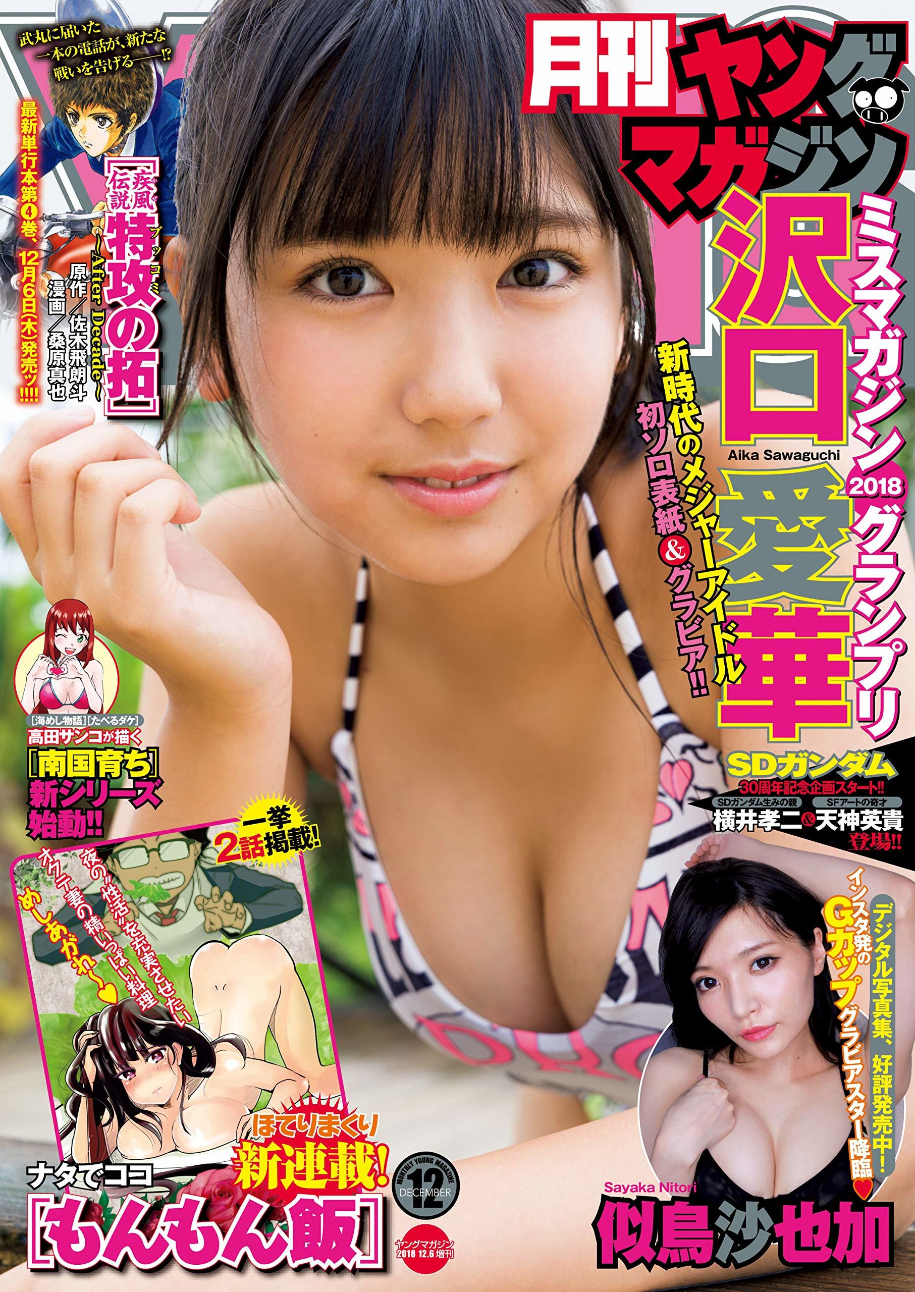 Copertina di Monthly Young Magazine 2018 12