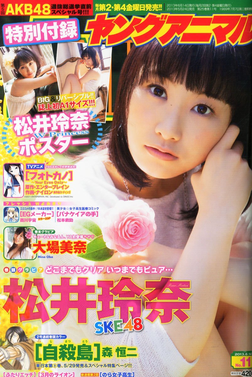 Cover of Young Animal 2013 11