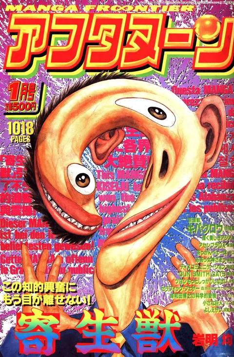 Cover von Afternoon 1994 1