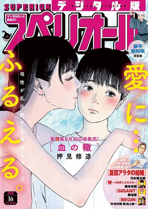 Copertina di Big Comic Superior 2019 16