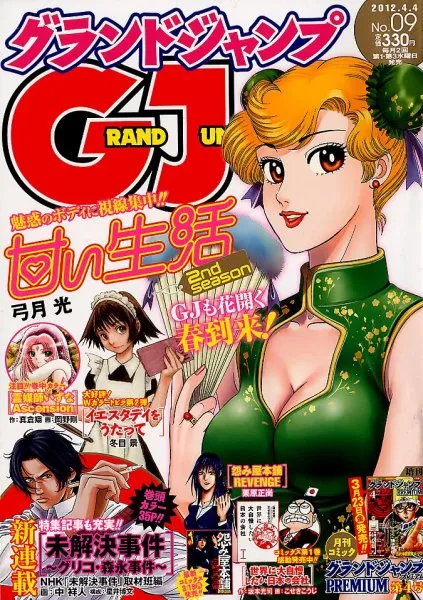 Couverture de Grand Jump 2012 9