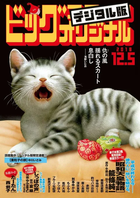 Cover of Big Comic Original 2018 23