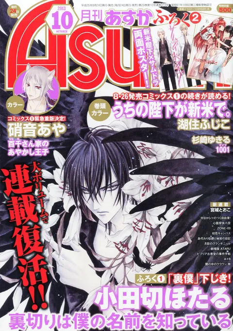 Copertina di Asuka 2013 10