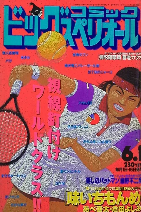 Cover von Big Comic Superior 1995 11