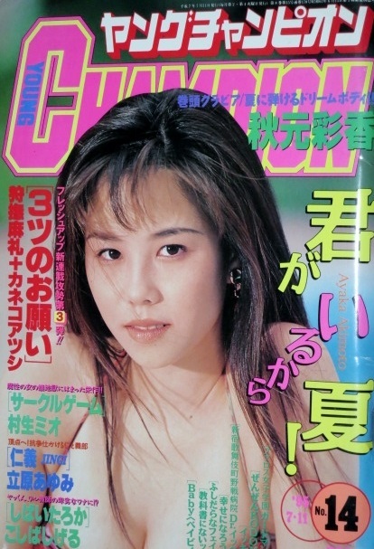 Cover of Young Champion 1995 14