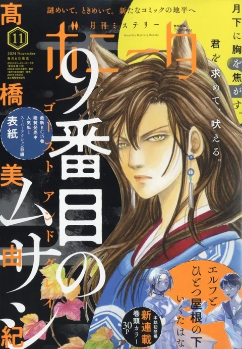 Cover von Mystery Bonita 2024 11