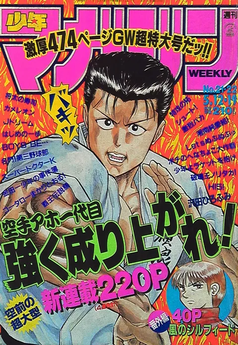 Cover of Weekly Shōnen Magazine 1993 21-22
