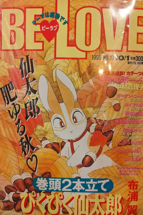 Cover of BE LOVE 1995 19
