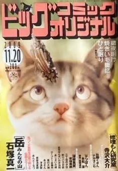 Cover of Big Comic Original 2009 22