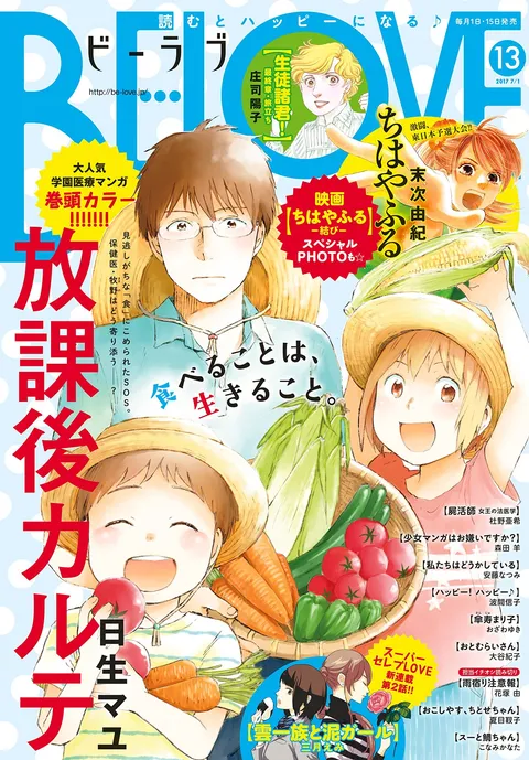 Cover von BE LOVE 2017 13