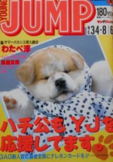 Cover of Weekly Young Jump 1987 34
