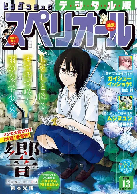 Copertina di Big Comic Superior 2017 13