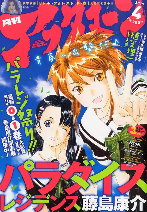 Cover von Afternoon 2015 4