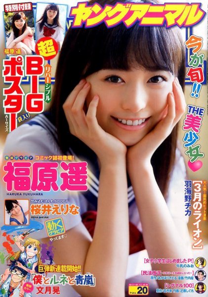 Cover of Young Animal 2015 20