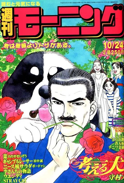 Cover von Morning 1996 45