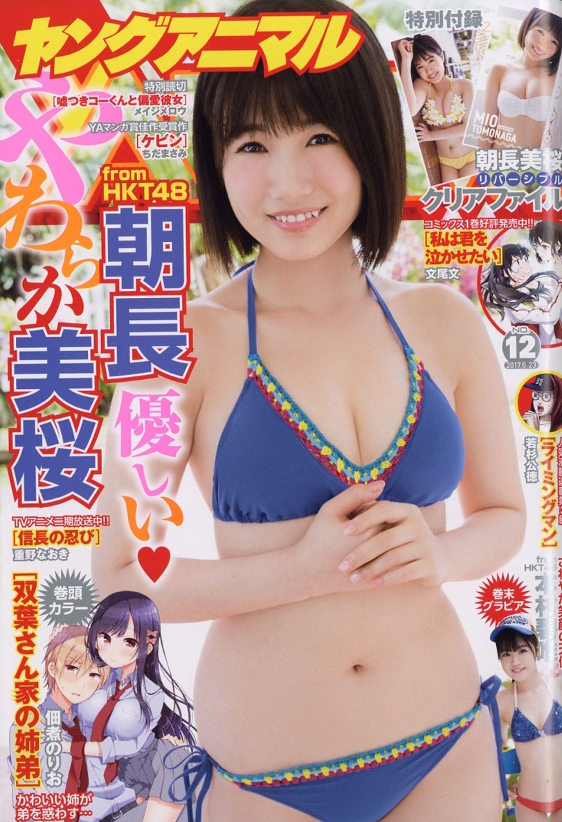 Cover of Young Animal 2017 12