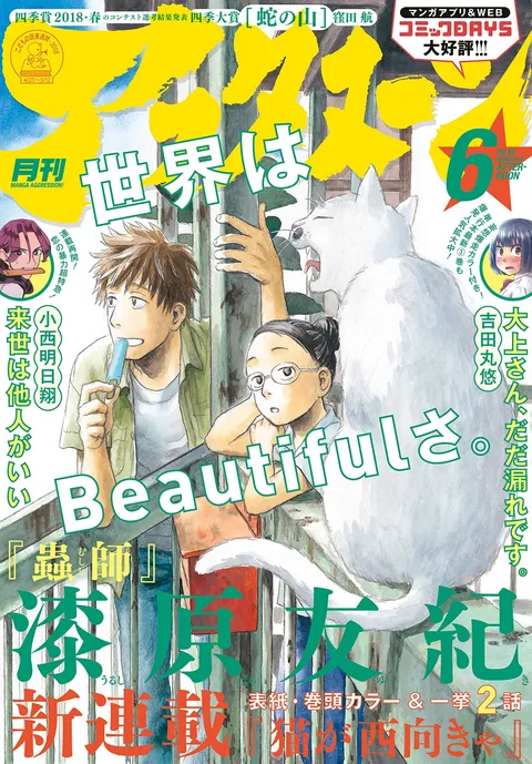 Cover von Afternoon 2018 6