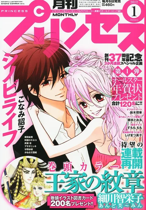 Cover von Princess 2012 1