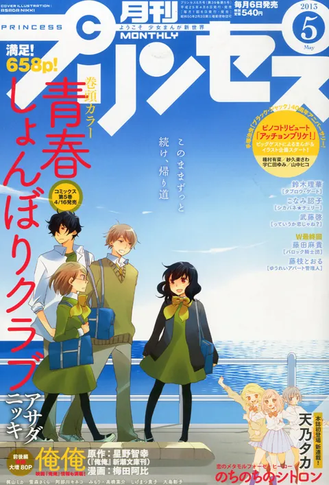 Copertina di Princess 2013 5