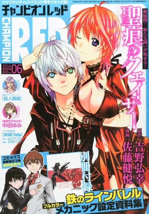 Cover von Champion RED 2014 6