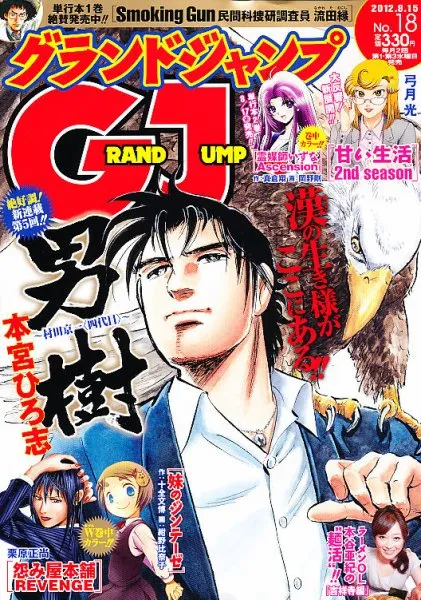 Couverture de Grand Jump 2012 18
